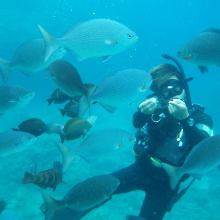 Opa Resort Ito  Luaran gambar