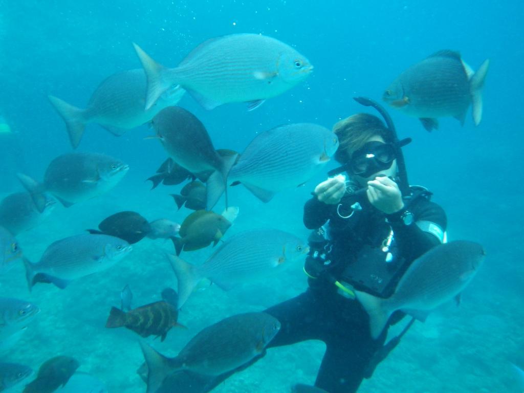 Opa Resort Ito  Luaran gambar
